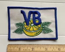 Vero Beach Dodgers Minor League Baseball Team Souvenir Embroidered Patch Badge