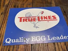 Vintage True Lines Chick Hatchery Sign Feed Poultry Feeder Chicken Eggs For Sale