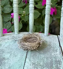 Genuine Natural-Real-Authentic SMALL-3” Ohio Birds Nest-Taxidermy-Twigs,Roots