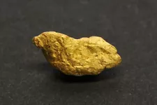 Gold nugget 2.1 Grams Devils Nest Placer Yavapai Co. AZ