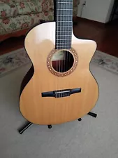 Taylor NS24 CE-G nylon string crossover guitar