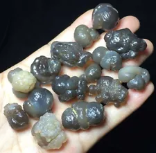 110 Natural Egyptian Panda Agate Chalcedony Collection Viewing specimen F923