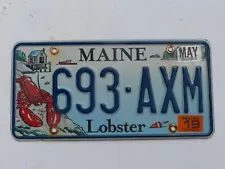 Used 2019 Maine Optional Lobster License Plate # 693-AXM Lobster Shack Buoy Boat