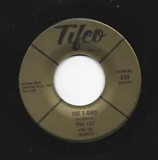 SURF HOTROD bw DOOWOP TEEN 45 - PHIL CAY & CHANTELS- THE T-BIRD -HEAR 1963 TIFCO