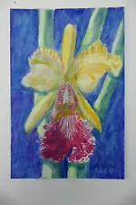 Wilhelm Klussmann watercolor 1999 sign. Cattleya Dowiana Hybrid 30x20cm N-2020