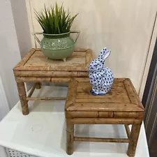 Vintage Burnt Tortoise Bamboo Nesting Plant Rattan Stands / Tables - Set of 2