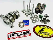 Rhino 700 Stage 3 Hotcam Big Bore Cam Kibblewhite Valve Springs Head Rebuild Kit