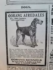 1922 Oorang Kennels Airedales dogs La Rue Ohio vintage Ad