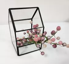 Modern Glass Geometric Plant Terrarium open side 6in high black metal frame