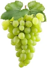 BishtHub Grapes Seeds Indian Plants Beej For Home Gardening- Pack Of 50 Seeds