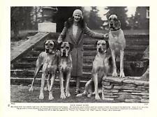 1930s Vintage Great Dane Print Ouborough Kennel Champion Great Danes 5480h