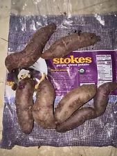 stokes purple sweet potato slips for sale