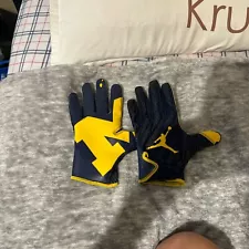 Michigan College Gloves