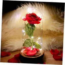 2022 Beauty and The Beast Rose,Enchanted Red Silk Rose 10.47 x 5.55 x 5.47 in