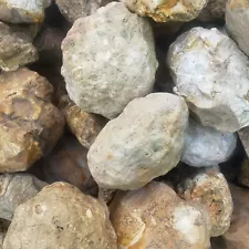 5 lbs Raw Kentucky Geodes - Solid & Semi-Solid Mix - Approve Before Shipping!