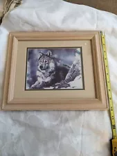 Maija Framed Print, "Paws", Signed & Numbered 08