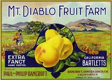 Bancroft Contra Costa Mt. Diablo Fruit Farm Pear Fruit Crate Label Art Print