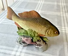 FRESH WATER FISH "CRUCIAN CARP" FIGURINE, REAL LIFE LOOKING.