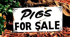 Vintage Rustic Metal PIGS FOR SALE Barn Stable Hand Painted Farm Cafe Decor Sign