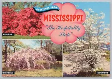 Flowers~Azaleas Wisteria Dogwood Greeting From Mississippi~Continental Postcard