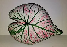 Poduszkownia Enjoy Pillow Caladium Leaf Pillow Urban Jungle Strawberry Star