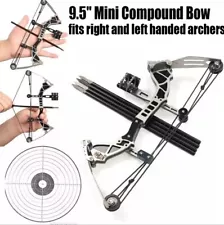 9.5" Mini Compound Bow & Arrows Kit Target Shooting Archery Toy Gift Pocket Bow