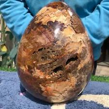 31.4LB natural Wood fossil quartz Crystal egg Mineral Specimen Healing