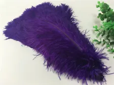 Wholesale, beautiful 10-100pcs special color ostrich feathers 6-24inches/15-60cm