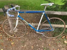 Vintage Road Bike Nishiki Tri-A