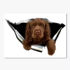 Teespring Sussex Spaniel 3D Car Sticker Sticker By Best Gift