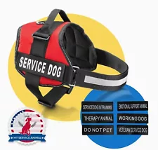 No Pull Red Dog Vest with Chosen Patches: Do Not Pet / WORKING DOG / Medical Dog