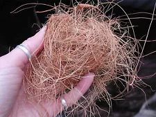 BOTANICA LTD. Coconut Husk Fiber - great for orchid growing!