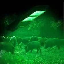 BSOD Hog Light, Solar Green Lights for Hunting Deer Hog Pig Activated Feeder Acc