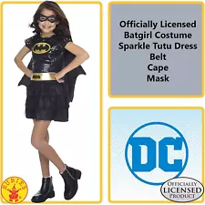 Batgirl DC Superheroes Costume, Small