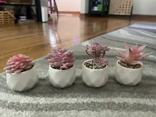 LITA Artificial Succulent Plants,Fake Succulents Small Plants in Pink Ceramic