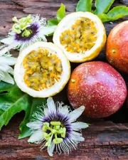 passion fruit plants for sale near me