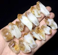 131g Tibet Himalayan rare Unique Elestial citrine QUARTZ Crystal Point A389