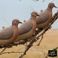 NEW AVERY OUTDOORS GREENHEAD GEAR GHG CLIP ON MOURNING DOVE DECOYS PAIR - 2 PACK