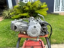 Honda crf 110 engine 2022