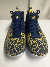 Li Ning Dwayne Wade Practice Worn Basketball Shoes Size 15 Gr3 Michigan