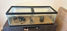 65 gallon aquarium With Items And Decor