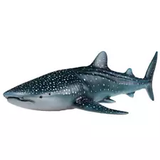 whale shark for sale