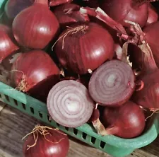 Seeds Onion Red Baron Giant Vegatable Organic Heirloom NON-GMO Ukraine