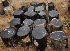 Black petrified wood stool price US$2/kg minimum order 2000kg for tile table etc