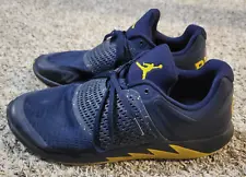 Jordan Grind 2 Michigan Wolverines Go Blue Shoes Men's Size 12 - Used