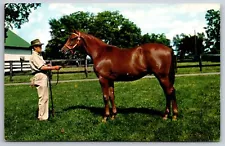 Lexington Kentucky~Keeneland Race Course~Yearling Horse Ready For Sale~1953