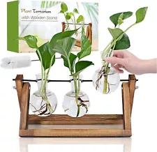 Plant Terrarium with Wooden Stand, Unique Gardening Gift for Women Plant Lovers