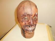 Severed Zombie Head Corpse Rotten Halloween Prop Undead