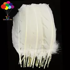 10-100pcs/lot Pure White 10-12inch Turkey Quill Feathers for Fashion Decorations