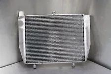 2009 Honda DN-01 Engine Radiator (For: Honda)